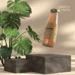 Captura de pantalla 2025-09-13 a la(s) 13.13.40