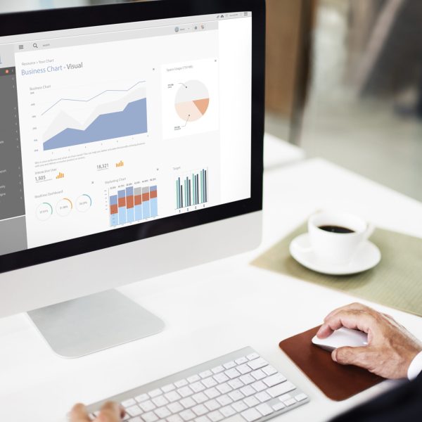 Business Chart Visual Graphics Report Concept